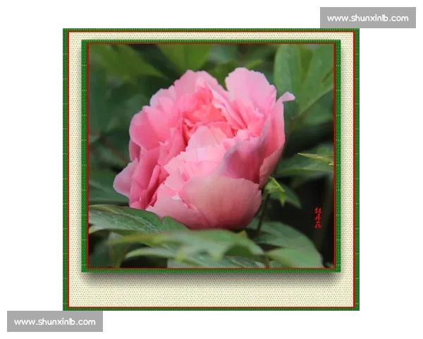 粉裙映国色：2025 全运会颁奖礼服绽放粤绣牡丹新韵